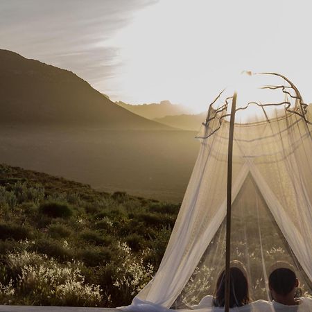 Simbavati Cederberg Ridge Villa Clanwilliam Bagian luar foto