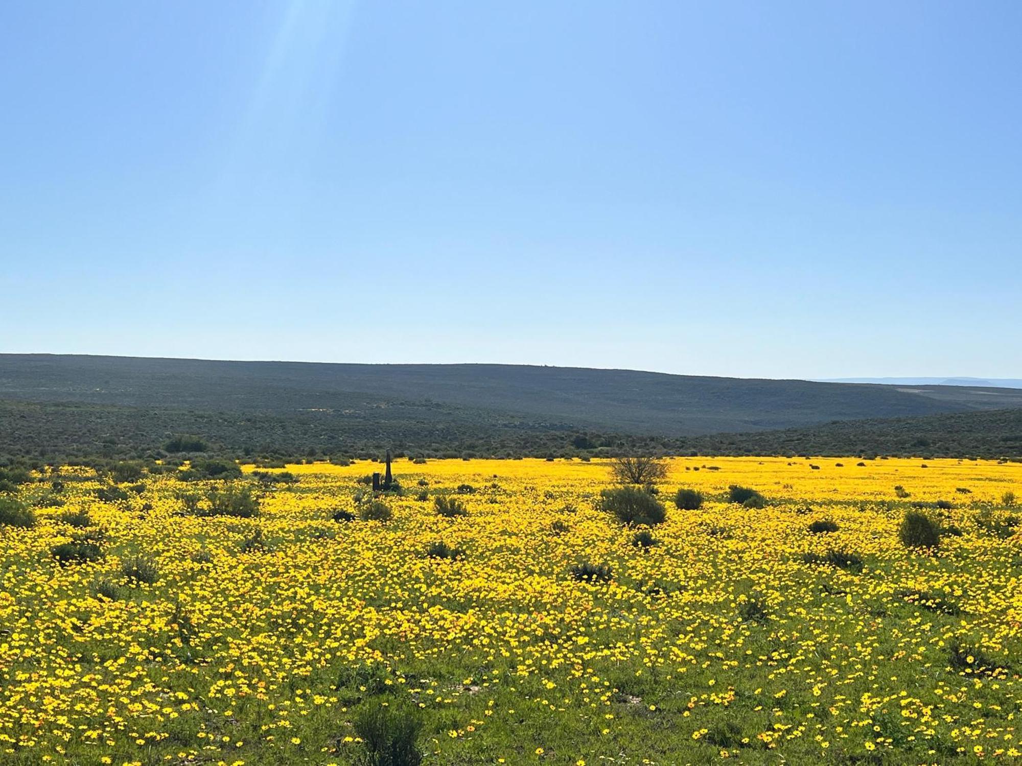 Simbavati Cederberg Ridge Villa Clanwilliam Bagian luar foto