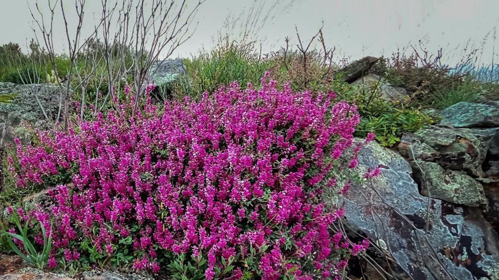 Simbavati Cederberg Ridge Villa Clanwilliam Bagian luar foto