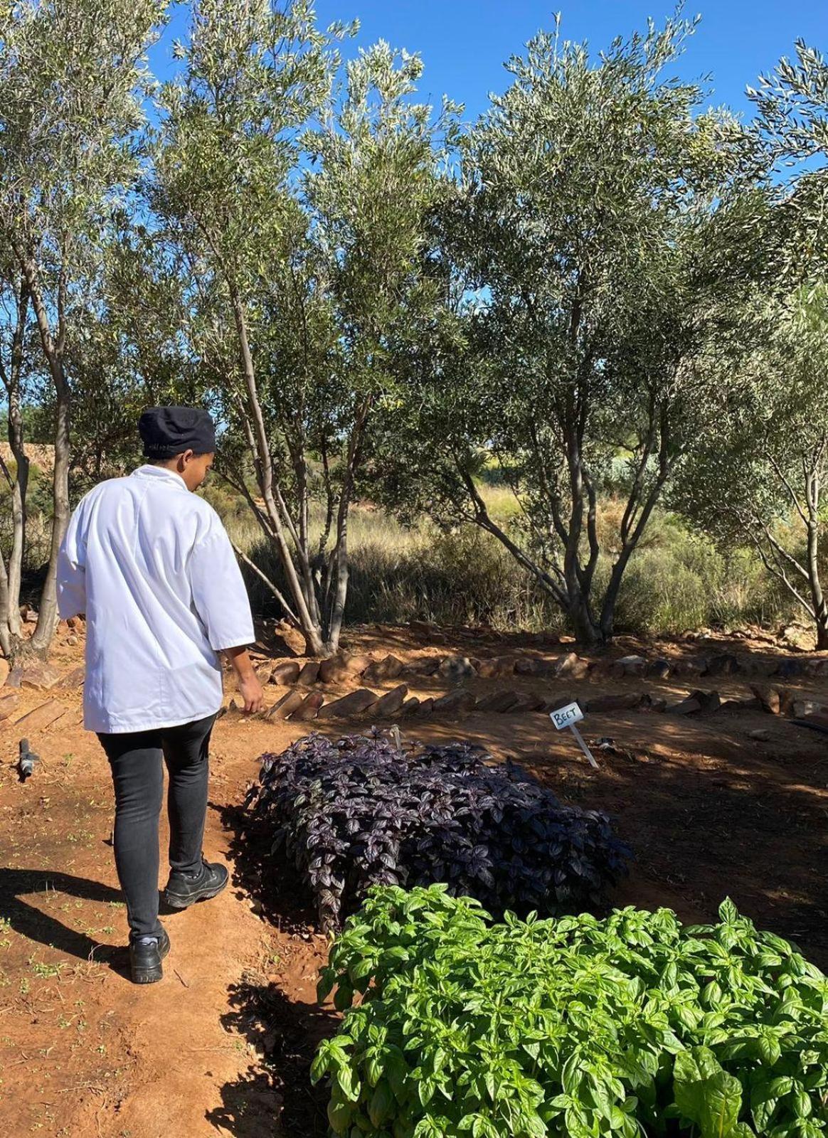 Simbavati Cederberg Ridge Villa Clanwilliam Bagian luar foto
