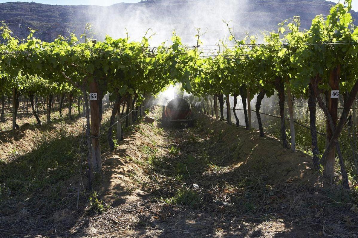Simbavati Cederberg Ridge Villa Clanwilliam Bagian luar foto