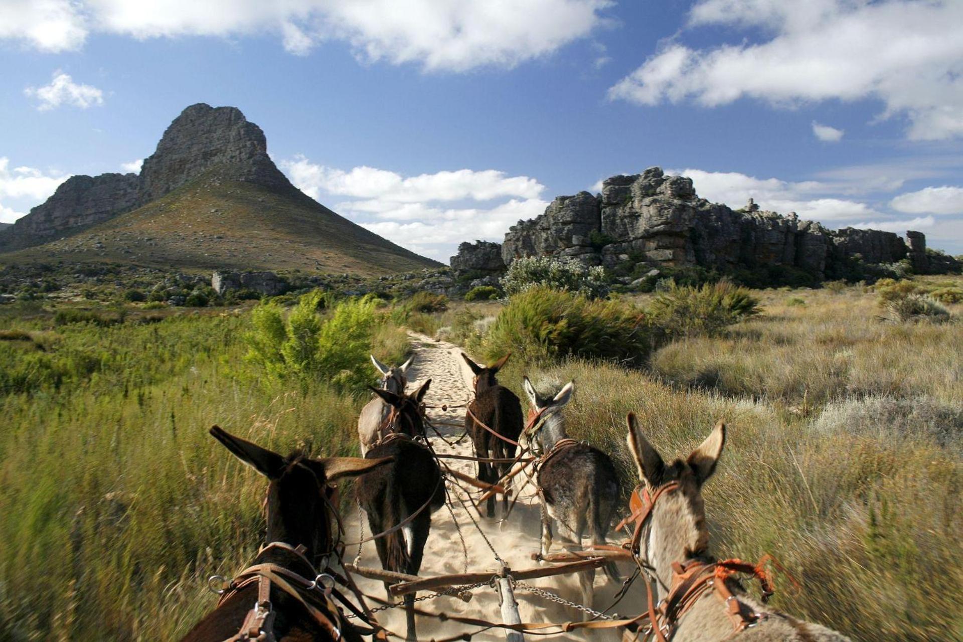 Simbavati Cederberg Ridge Villa Clanwilliam Bagian luar foto